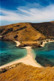 A shoal in the Yasawa Islands, Fiji